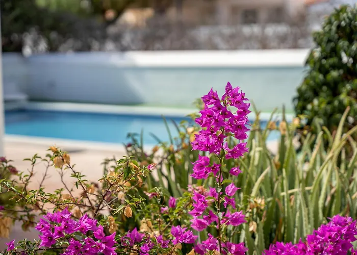 3-bedroom In Golf Del Sur * San Miguel de Abona